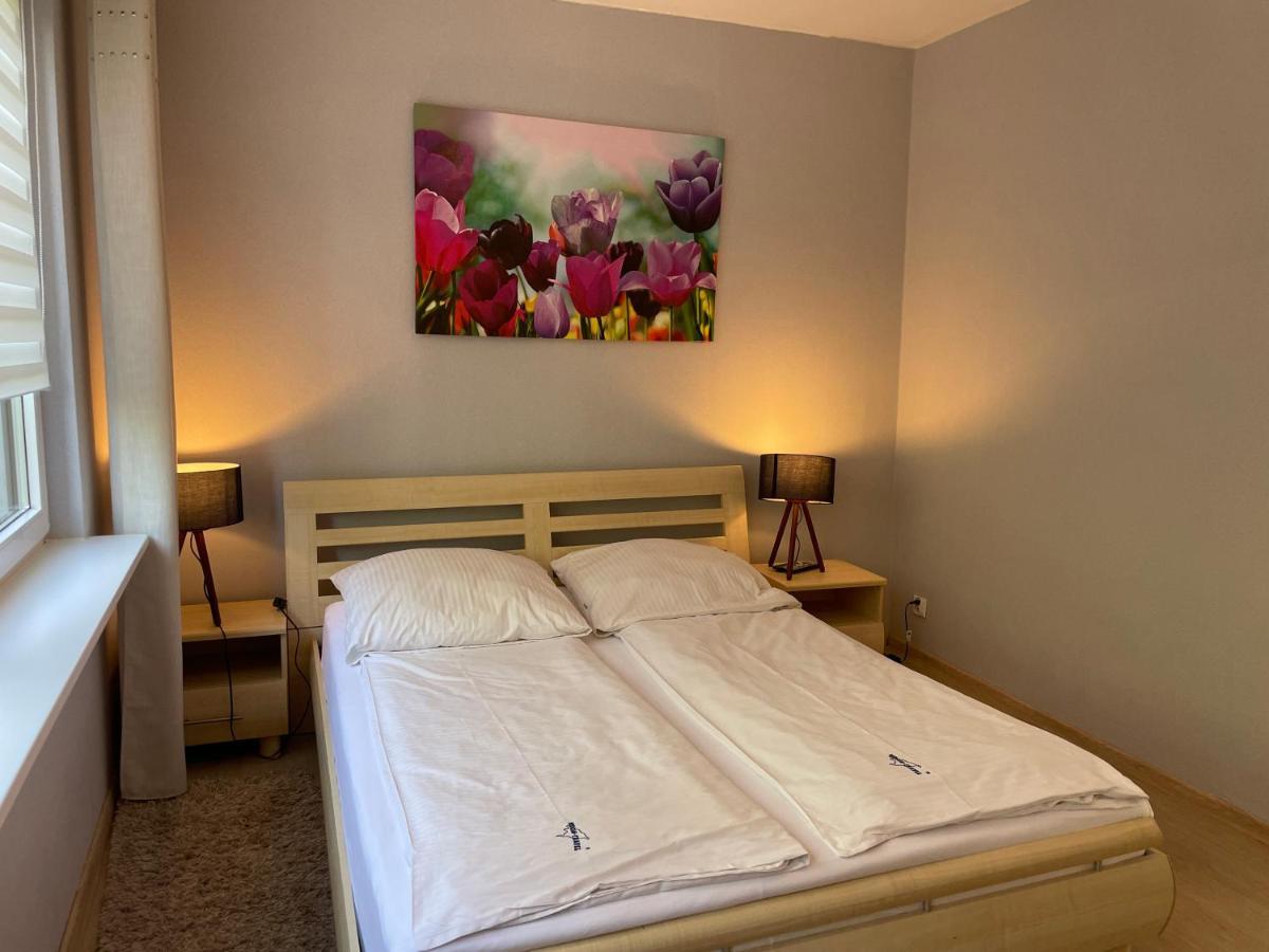 Wolin-Travel Apartament Dom Przy Parku مينززدرويه المظهر الخارجي الصورة
